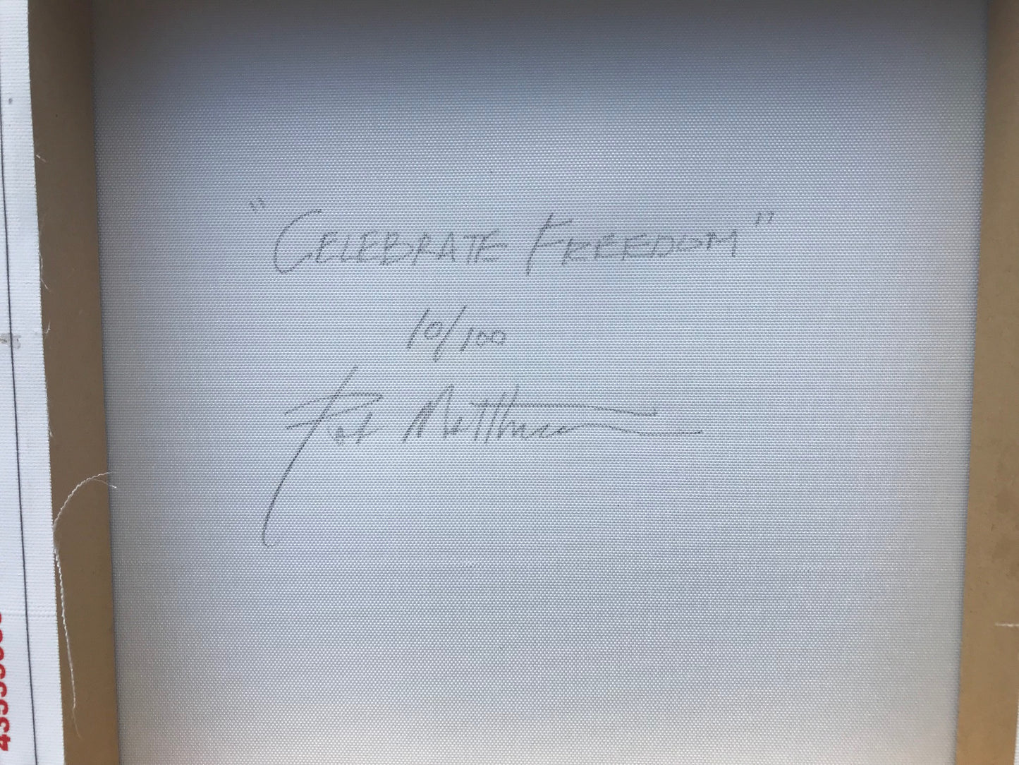 On sale for July 4th!!  12" x 12" Gallery Wrapped "CELEBRATE FREEDOM"