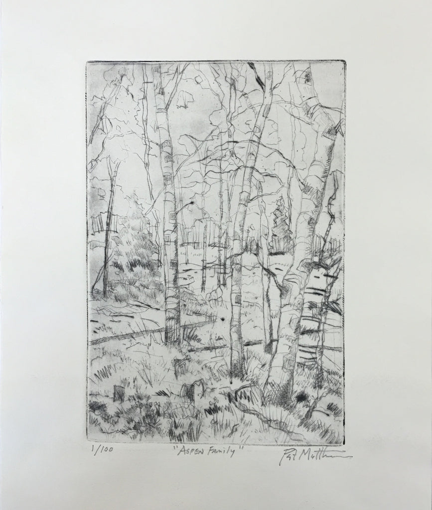 Dry Point Etching Limited Edition " Aspen Family"