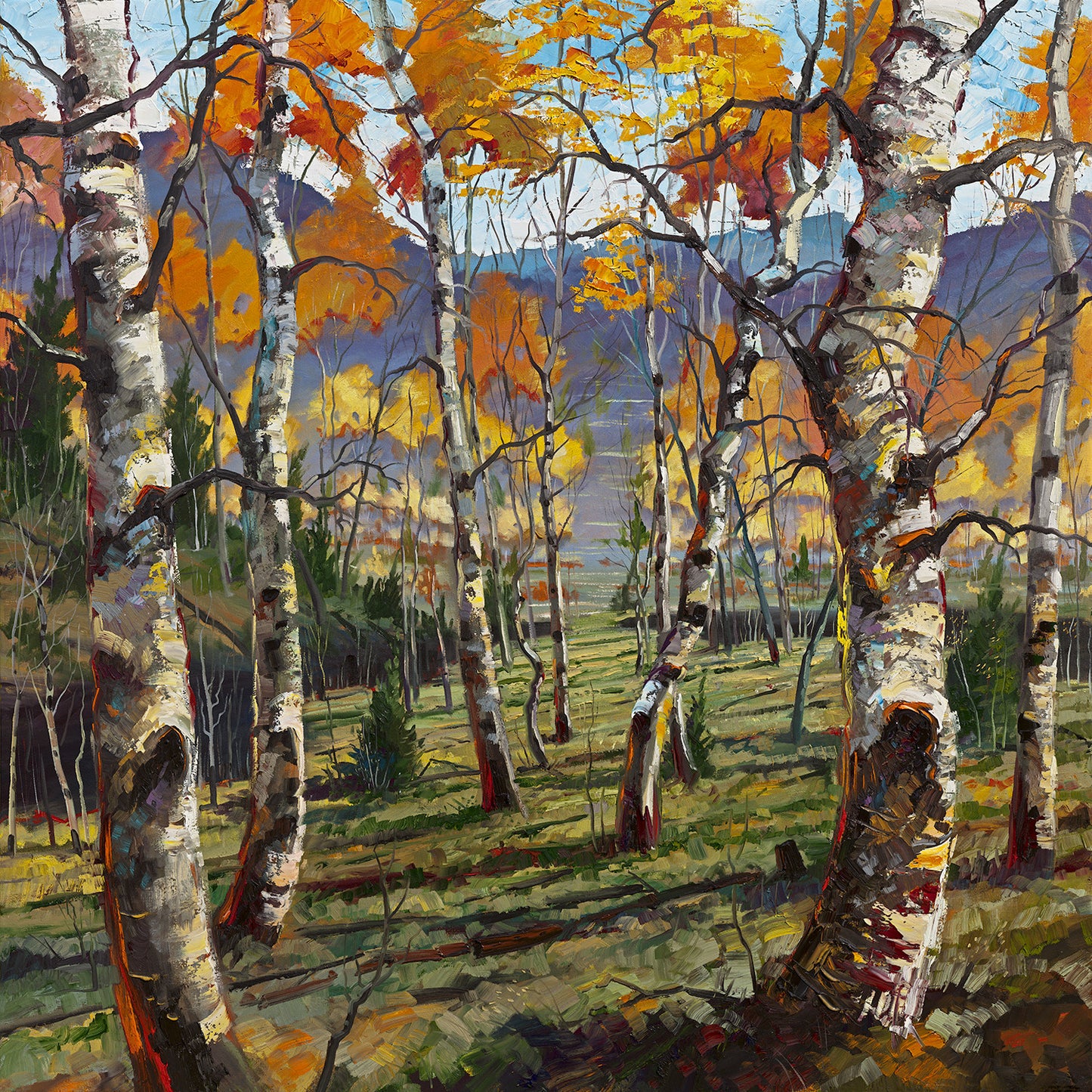 Into the Aspen Valley (012) - 30" x 30"