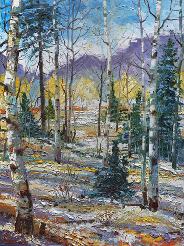 Archival Print on Stretched Canvas The Evolving West "Winter" 053 40" x 30"
